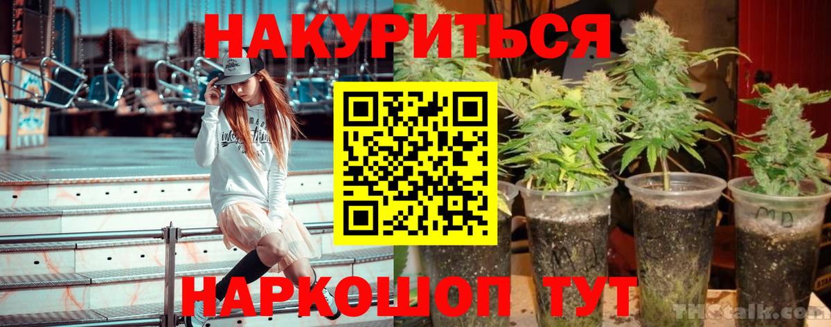 Шишки марихуана индика Кропоткин